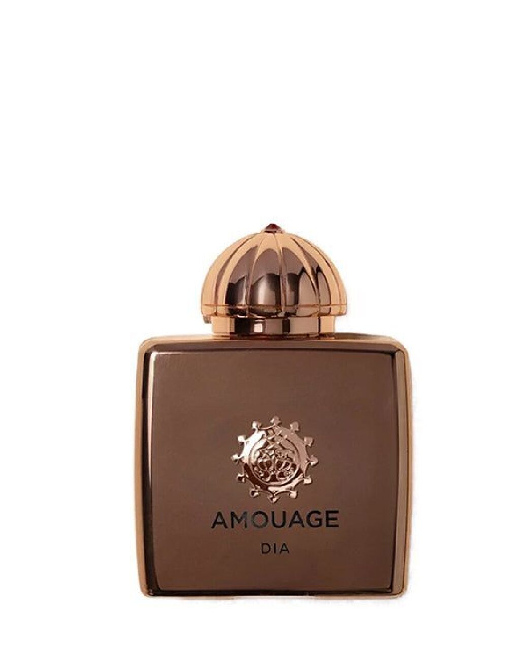 Amouage Dia Women EDP 100ML